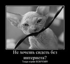 https://lolkot.ru/2012/08/07/kormi-vovremya/