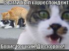 https://lolkot.ru/2010/09/15/korrespondent/