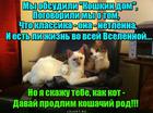 https://lolkot.ru/2016/03/06/koshachiy-rod/