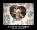 https://lolkot.ru/2013/02/01/koshachya-geometriya/
