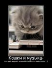 https://lolkot.ru/2010/06/11/koshki-i-muzyka/