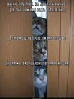 https://lolkot.ru/2015/11/02/koshki-my-ili-kak/