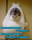 https://lolkot.ru/2016/02/13/kospley-titanika/