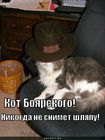 https://lolkot.ru/2011/02/05/kot-boyarskogo/