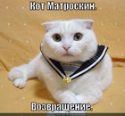 https://lolkot.ru/2011/08/13/kot-matroskin/