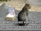 https://lolkot.ru/2010/10/31/kot-naplakal/