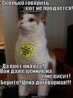 https://lolkot.ru/2010/09/18/kot-ne-prodayetsya/