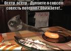 https://lolkot.ru/2014/12/13/kot-pretenduyet-tolko-na-svoye/