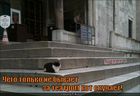 https://lolkot.ru/2011/05/24/kot-skuchayet/