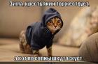 https://lolkot.ru/2012/10/25/kot-toskuyet/