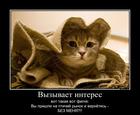 https://lolkot.ru/2014/11/03/kot-v-meshke-4/