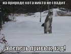 https://lolkot.ru/2010/09/17/kota-nikto-ne-gladit/