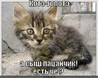 https://lolkot.ru/2011/03/31/kote-gopote/