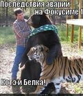 https://lolkot.ru/2011/04/26/kote-i-belka/