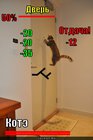 https://lolkot.ru/2011/01/30/kote-i-dver/