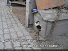 https://lolkot.ru/2012/02/13/kote-ne-sbezhit/