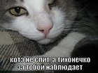 https://lolkot.ru/2010/08/24/kote-ne-spit/