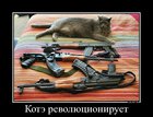 https://lolkot.ru/2012/02/17/kote-revolyutsioniruyet/