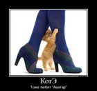 https://lolkot.ru/2011/12/01/kote-tozhe-lyubit/