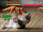 https://lolkot.ru/2011/06/26/kote/