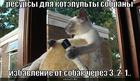 https://lolkot.ru/2010/03/22/kotepulta/