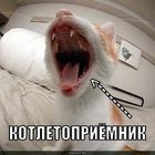 https://lolkot.ru/2010/10/30/kotletopriyomnik/
