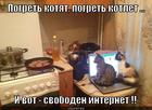 https://lolkot.ru/2013/10/11/kotlety-iz-kotyat/