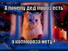 https://lolkot.ru/2012/01/08/kotmoroza-netu/