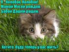 https://lolkot.ru/2016/08/31/kotobok/