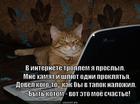 https://lolkot.ru/2014/03/15/kotroll/