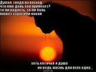 https://lolkot.ru/2011/02/06/kotyachya-dusha/