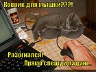 https://lolkot.ru/2011/11/09/kovrik-dlya-myshki/