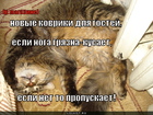 https://lolkot.ru/2011/03/23/kovriki-dlya-gostey/
