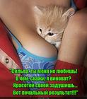 https://lolkot.ru/2016/04/20/krasota-5/