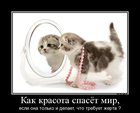 https://lolkot.ru/2012/06/29/krasota-spasyot-mir/