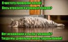 https://lolkot.ru/2016/06/25/kreativnyy-kontrol/