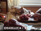 https://lolkot.ru/2012/08/13/kriminalizm-s-myasom/