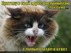 https://lolkot.ru/2012/07/19/kritika/