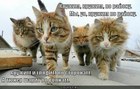 https://lolkot.ru/2012/08/27/kruzhim-kruzhim/