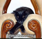 https://lolkot.ru/2011/03/23/kryostnyy-kotets/