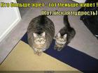 https://lolkot.ru/2010/12/23/kto-bolshe-zhret/