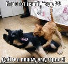 https://lolkot.ru/2011/12/09/kto-etot-geniy/