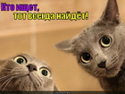 https://lolkot.ru/2011/06/01/kto-ischet/