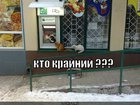 https://lolkot.ru/2011/06/18/kto-krayniy-2/