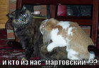 https://lolkot.ru/2012/03/20/kto-martovskiy/