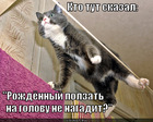 https://lolkot.ru/2012/08/09/kto-skazal-3/