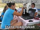 https://lolkot.ru/2012/04/02/kto-to-naklikal/