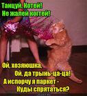 https://lolkot.ru/2015/11/13/kudy-spryatatsya/