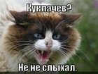 https://lolkot.ru/2012/07/31/kuklachev-ne-ne-slyhal/