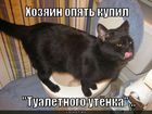 https://lolkot.ru/2011/01/26/kupil-tualetnogo-utyonka/